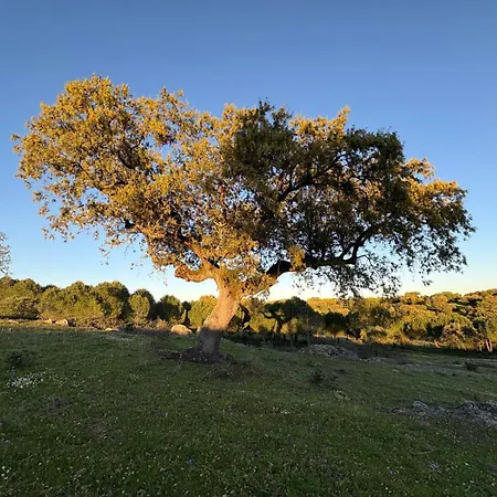 Дом отдыха Herdade Dos Calvinos Eco-monte *
