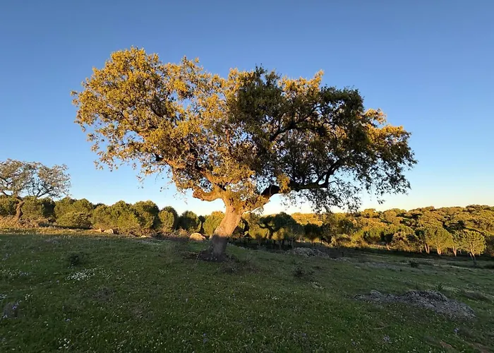 Дом отдыха Herdade Dos Calvinos Eco-monte *